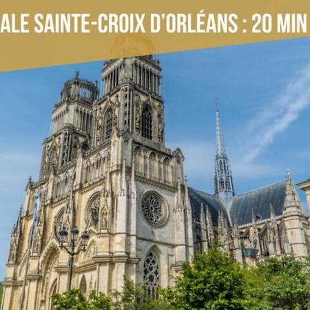 La Madeleine Maison *T3* Lägenhet Orléans Exteriör bild